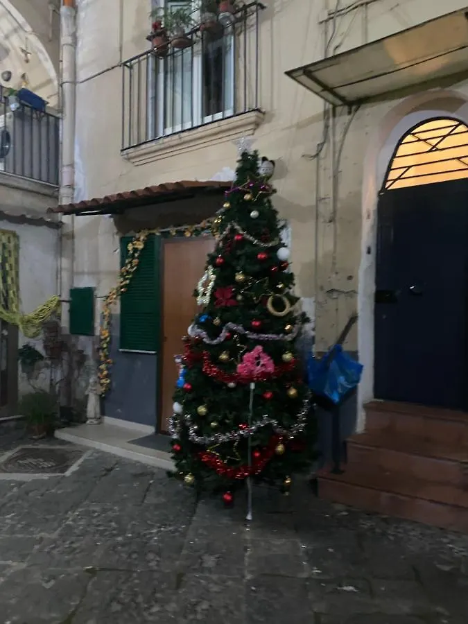 The Paradise House Naples Appartement