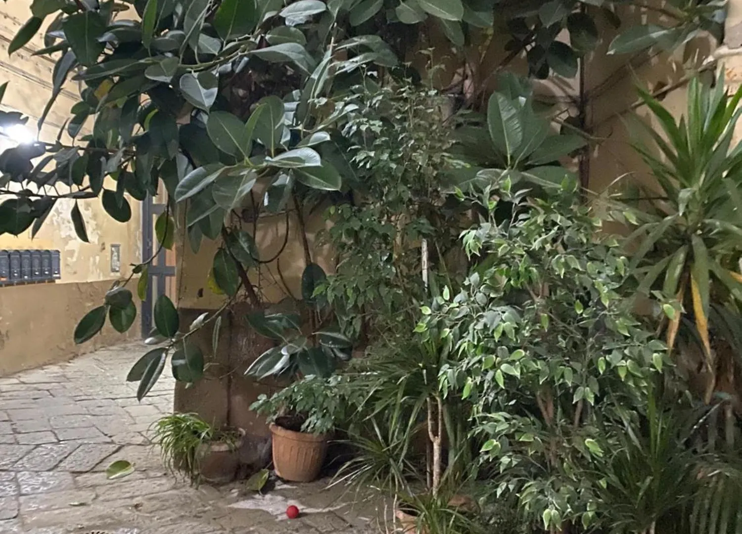 The Paradise House Naples